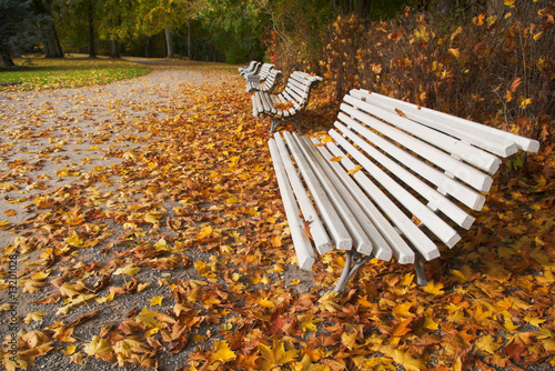 Wallpaper Mural autumn alley with white benches