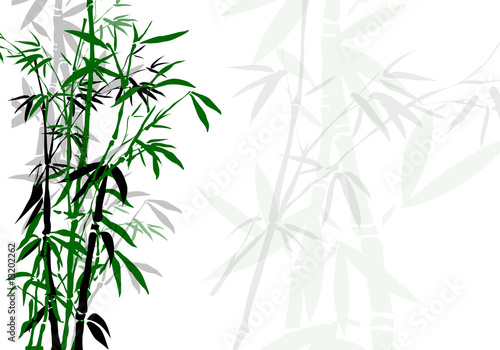 Bambous vert