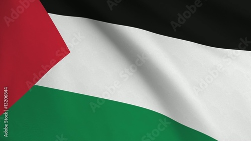 Palestinean Flag photo