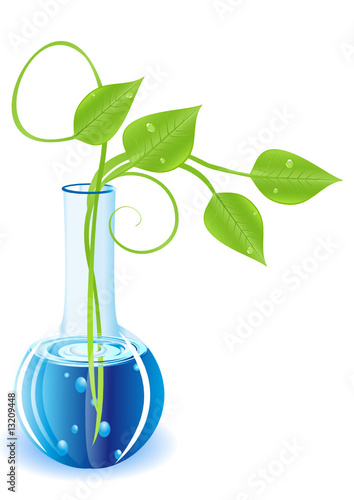 plante OGM