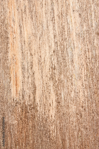 Texture of old wood