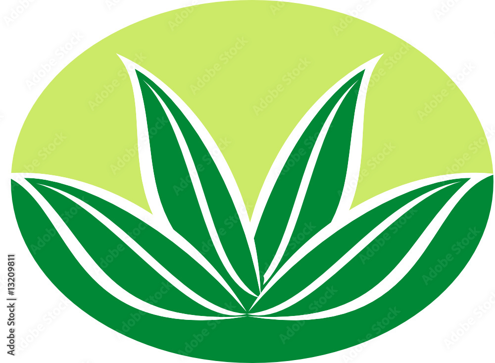 Leaf Leaf