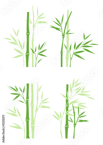bamboo © ima