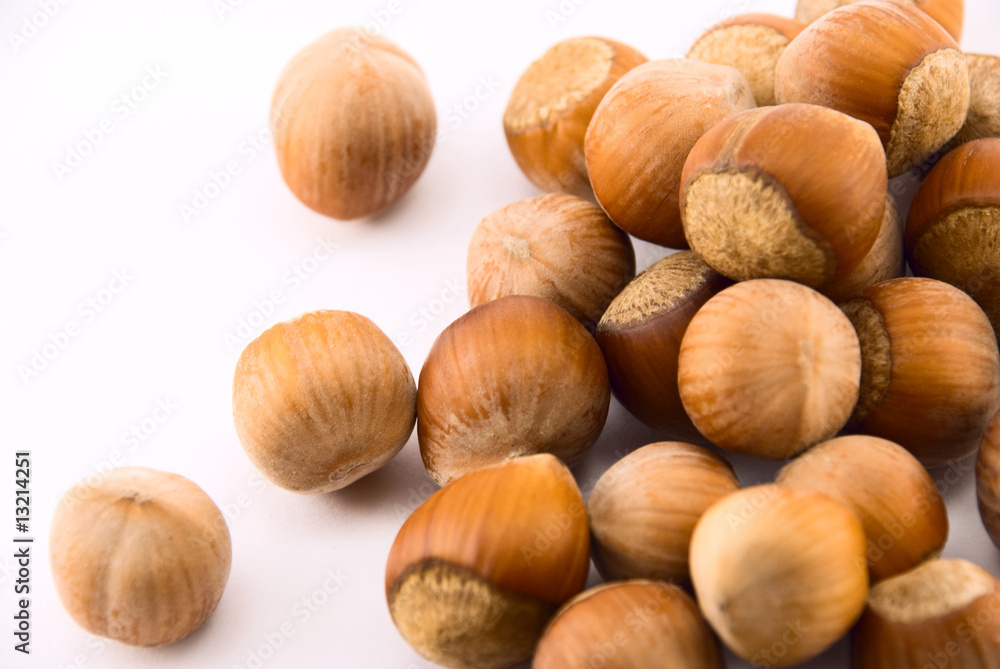 a pile of hazelnut on white background a pile of hazelnut on white background