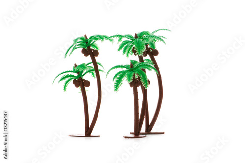 Figure of palm tree isolated on white