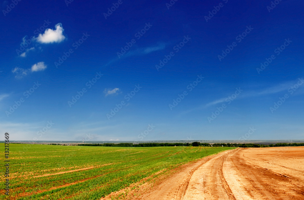 green fields