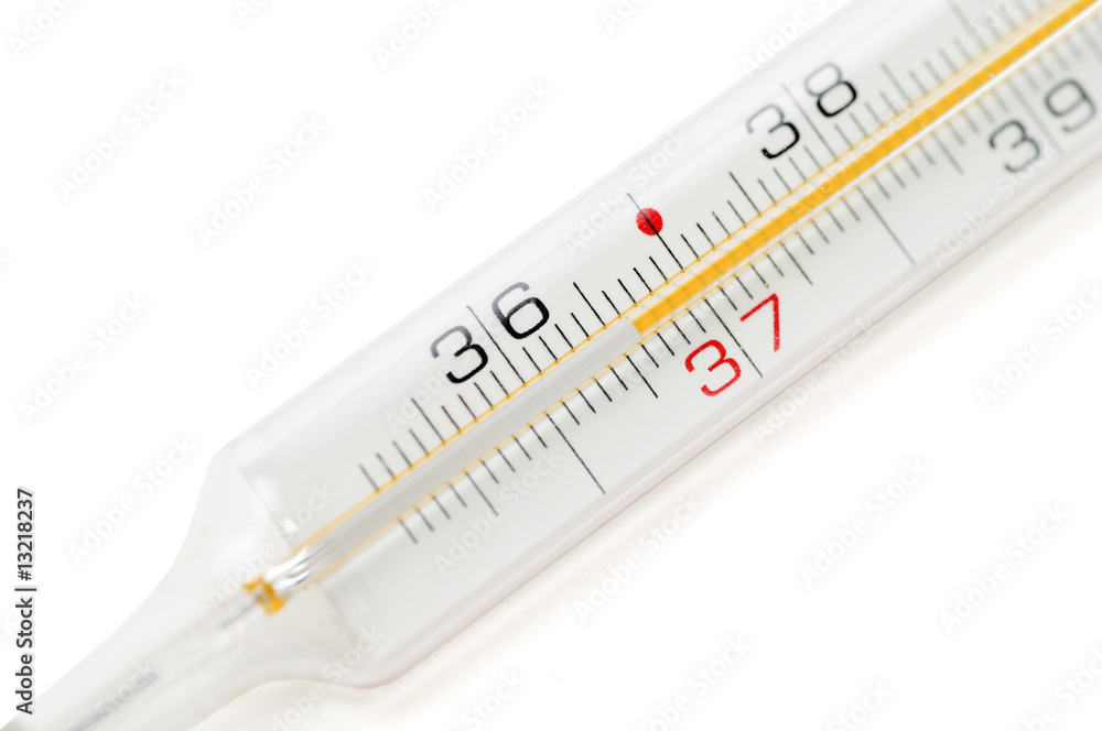 Thermometer isolated Thermometer isolated