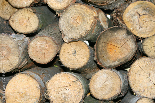 Logs 4