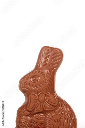 Chocolate bunny on white