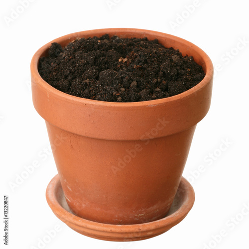 Fresh ground in a flowerpot