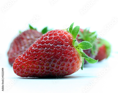 strawberry - Strawberries - Morangos - Fraises - Fresas photo
