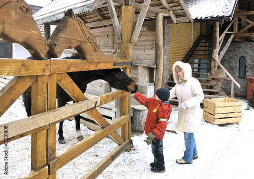 Mother and two sons feed a horse in winter