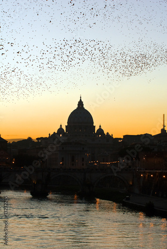 Basilica di San Pietro con Storni dal fiume Tevere a Roma IT photo