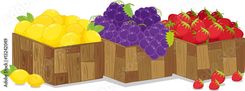 fruit