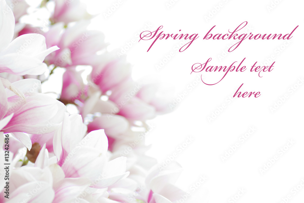 Spring Blossom background Spring Blossom background
