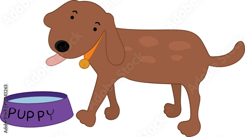 dog