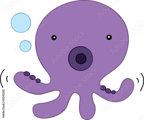 octopus