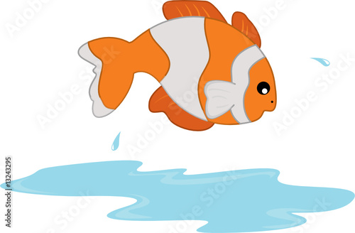 fish