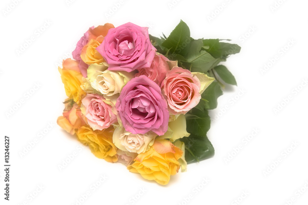Fototapeta premium Pastel roses