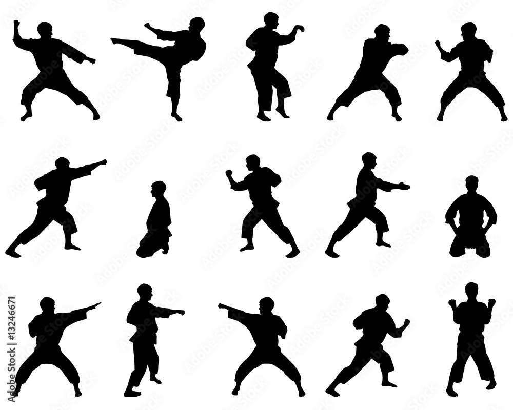 Fototapeta Silhouettes of positions of the karateka.