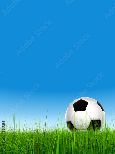 3d leather black and white soccer ball on green grass © high_resolution