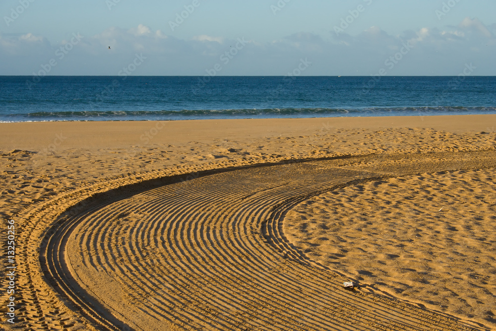 Naklejka premium furrow of a tractor on the ocean shore