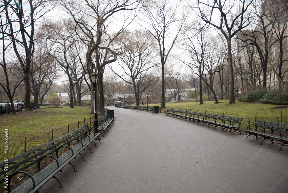 Secluded Park Walkway