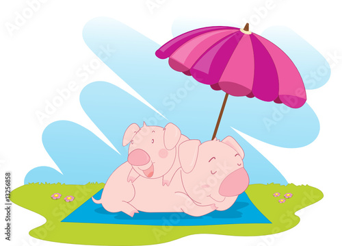 two pigs