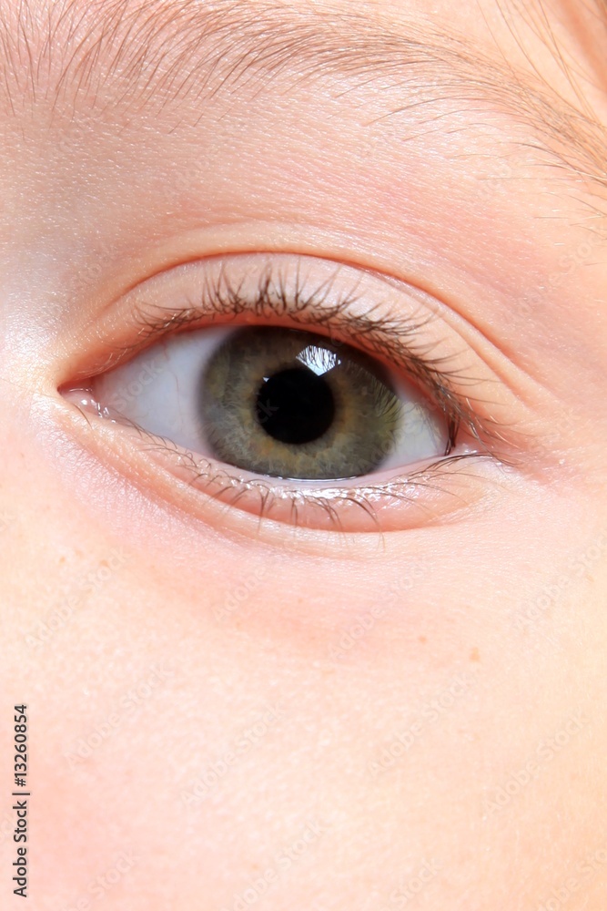 Fototapeta premium rétine