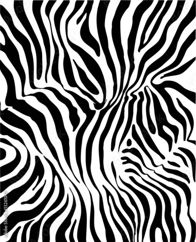 Zebra skin