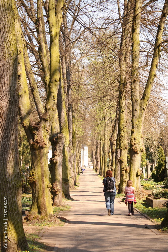 Fototapeta premium Allee, Spaziergang