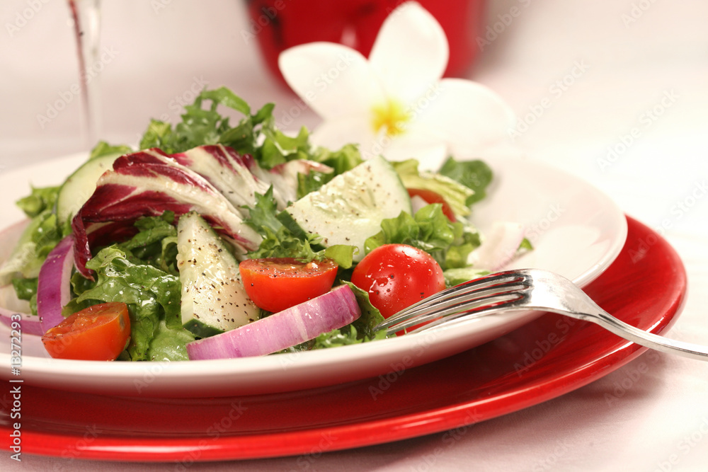 Healthy Salad on a Red Plate