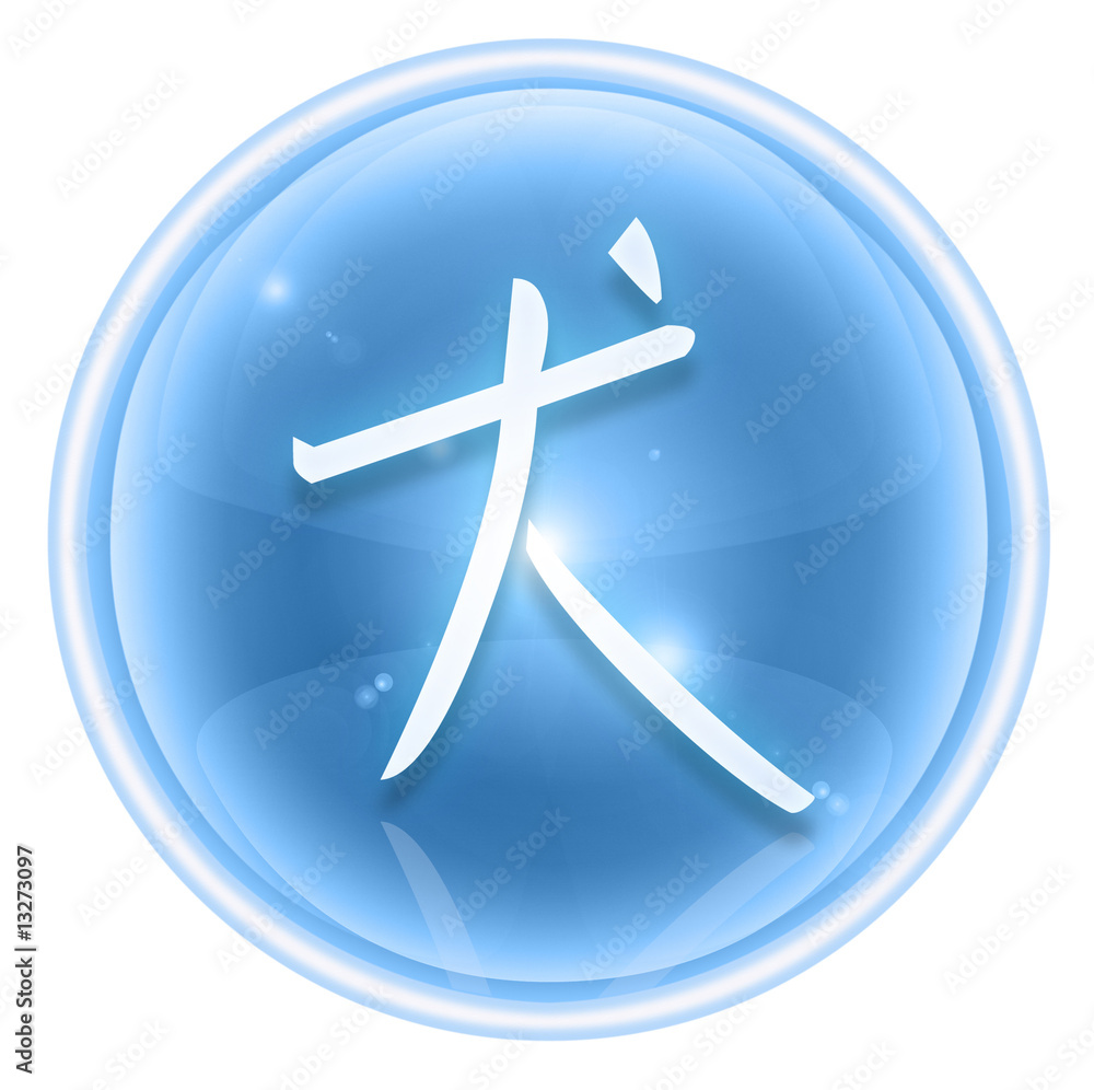 Dog Zodiac icon ice, isolated on white background. Dog Zodiac icon ice, isolated on white background.