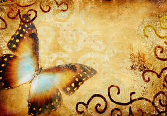 vintage background with butterfly