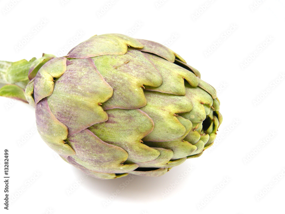 Obraz premium Artischocke