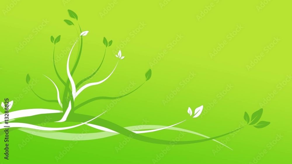 Animation florale fond vert