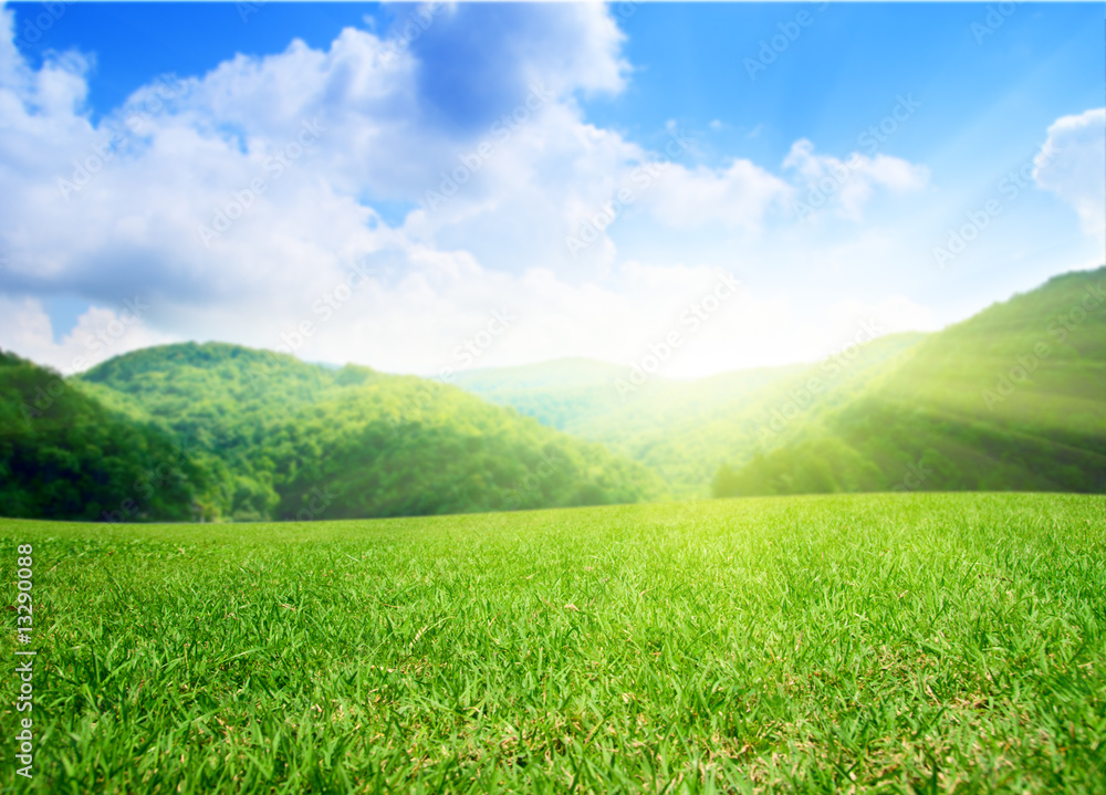 summer green field and mountains summer green field and mountains