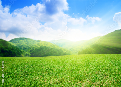 summer green field and mountains