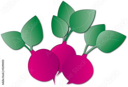 rapanello