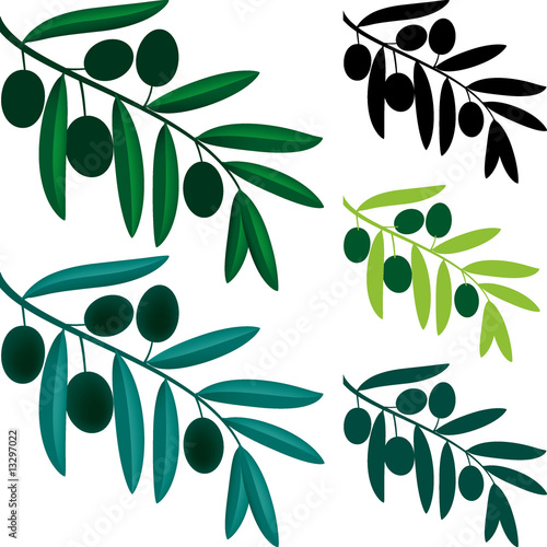 branch