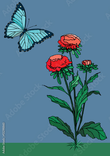 Flowers and Butterfly