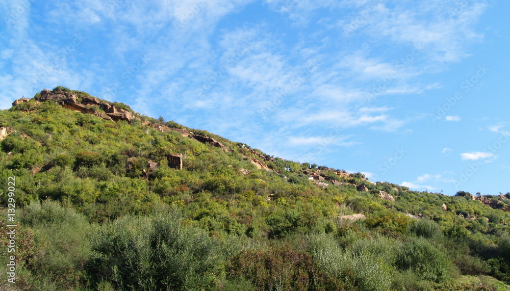 garrigue garrigue