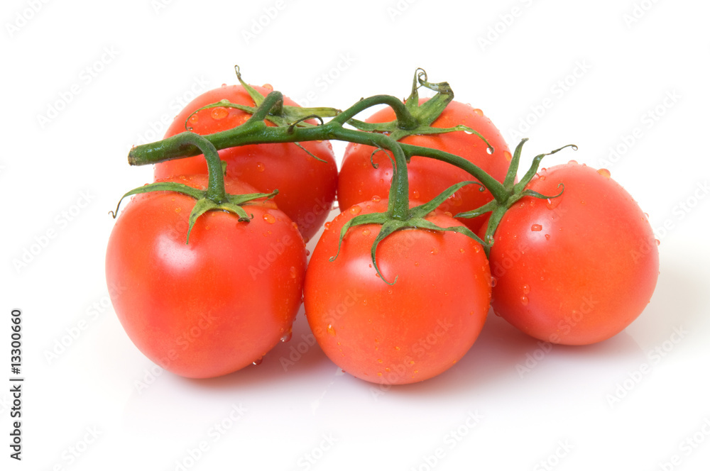 Tomatoes On The Vine
