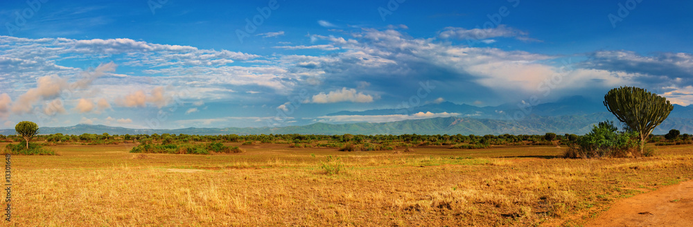 African savanna