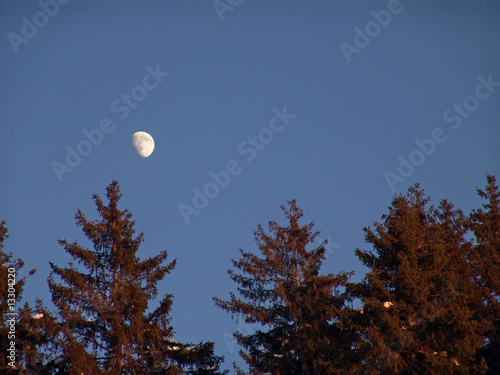 Obraz na plátně chiaro di luna