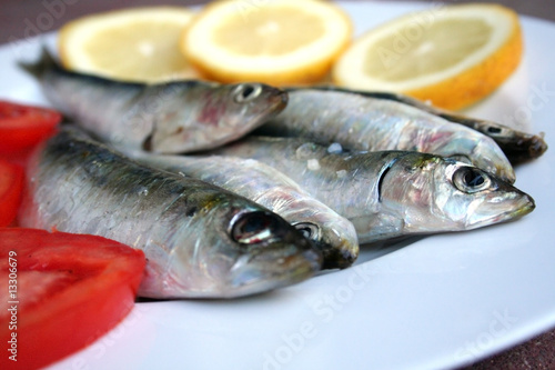 Sardinhas-Sardine-Pilchard-Fish-Sardina-Peixe-Sardinha