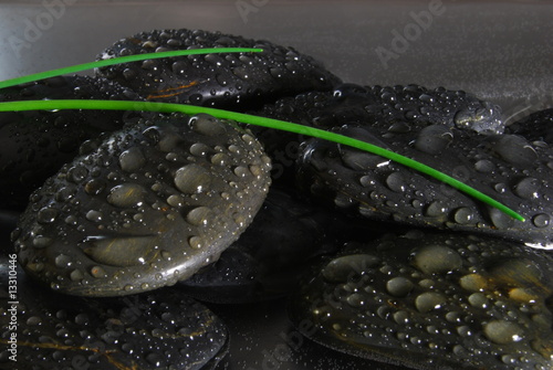Fototapeta stones