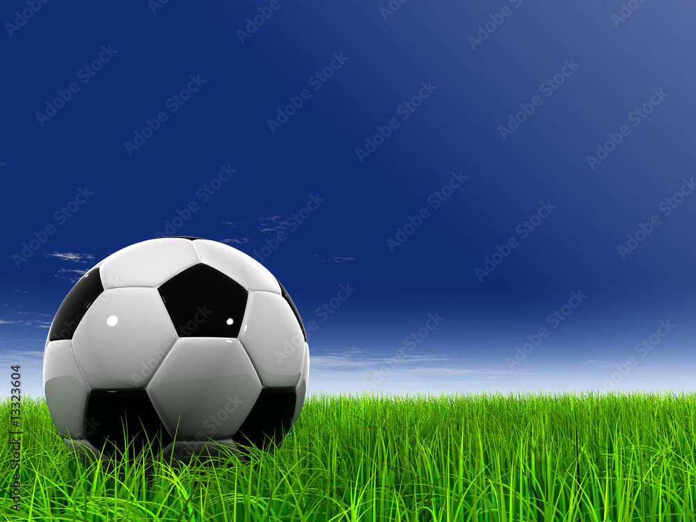 Fototapeta premium 3D black soccer ball,green grass and a blue sky with clouds
