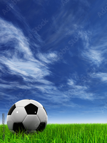 3D black soccer ball,green grass and a blue sky with clouds © high_resolution