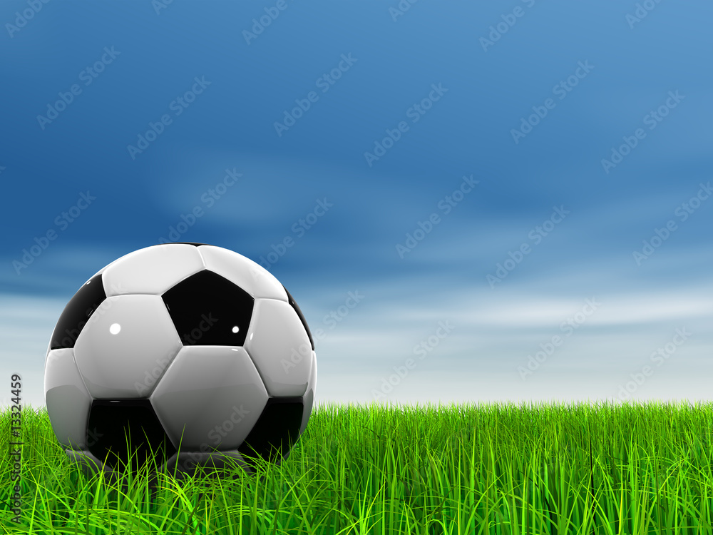 3D black soccer ball,green grass and a blue sky with clouds 3D black soccer ball,green grass and a blue sky with clouds